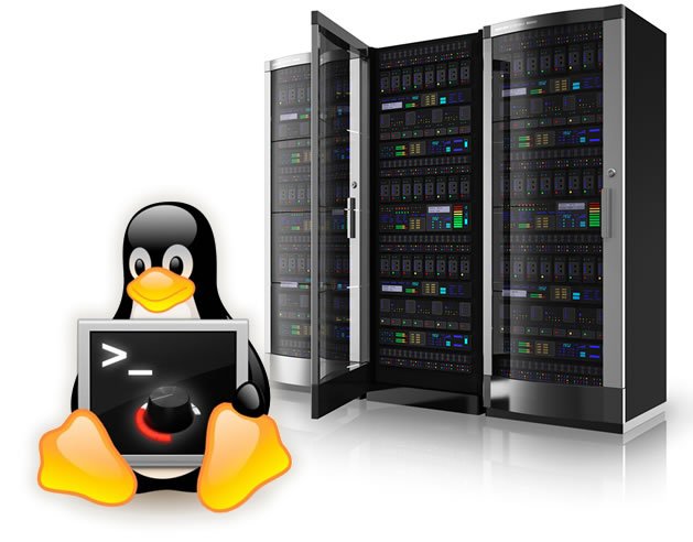 servidor linux para empresas
